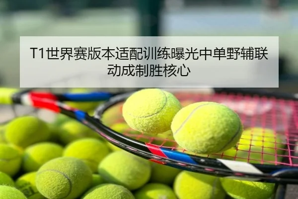 T1世界赛版本适配训练曝光中单野辅联动成制胜核心
