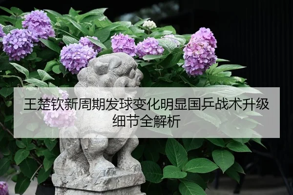 王楚钦新周期发球变化明显国乒战术升级细节全解析
